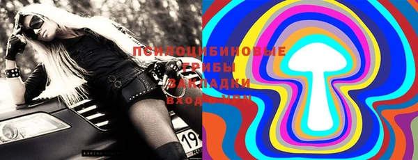гашик Баксан