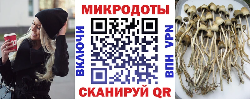 Галлюциногенные грибы Magic Shrooms  Курлово 